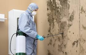 Hamilton, GA Mold Removal Services Company